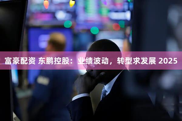 富豪配资 东鹏控股：业绩波动，转型求发展 2025