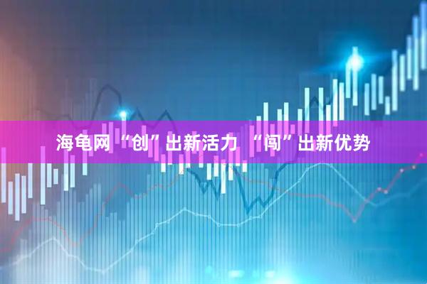 海龟网 “创”出新活力  “闯”出新优势