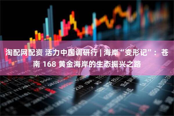 淘配网配资 活力中国调研行 | 海岸“变形记”：苍南 168 黄金海岸的生态振兴之路