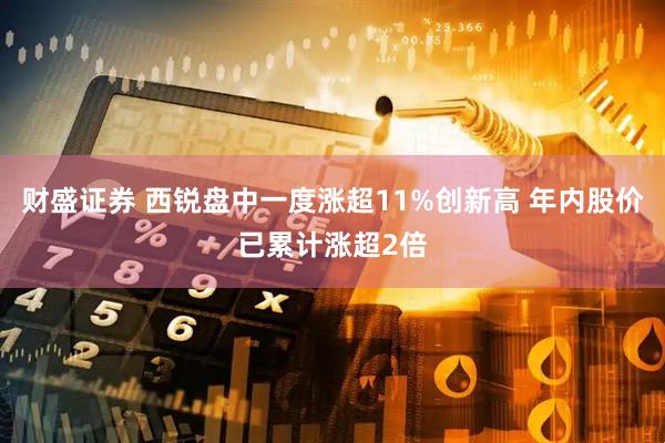 财盛证券 西锐盘中一度涨超11%创新高 年内股价已累计涨超2倍
