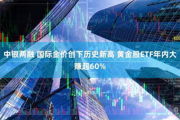 中银两融 国际金价创下历史新高 黄金股ETF年内大赚超60%