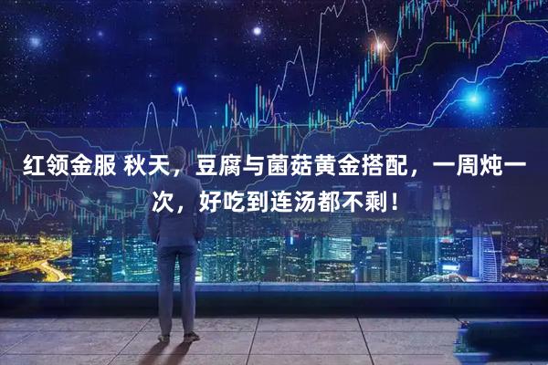 红领金服 秋天，豆腐与菌菇黄金搭配，一周炖一次，好吃到连汤都不剩！