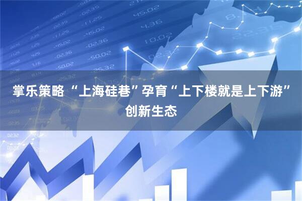掌乐策略 “上海硅巷”孕育“上下楼就是上下游”创新生态