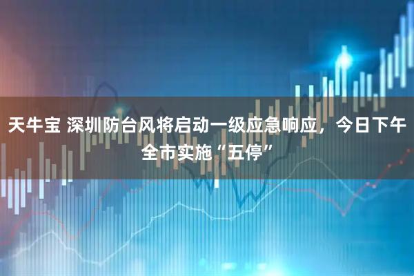 天牛宝 深圳防台风将启动一级应急响应，今日下午全市实施“五停”
