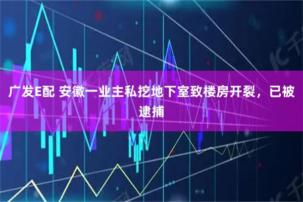 广发E配 安徽一业主私挖地下室致楼房开裂，已被逮捕